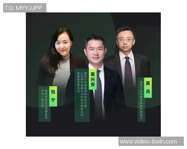 足球场投资回报分析如何实现经济效益最大化与可持续发展策略探讨